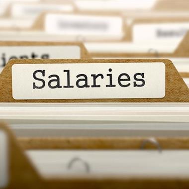 Folder with a tag that says Salaries.