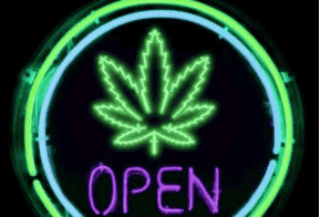 Prinz Launches New Cannabis Web Pages