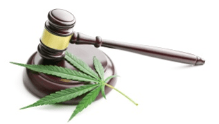 Cannabis Gavel